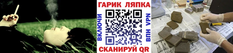ГАШ Premium  Озёры 