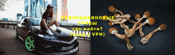 шишки Баксан