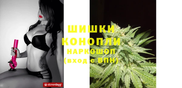 шишки Баксан